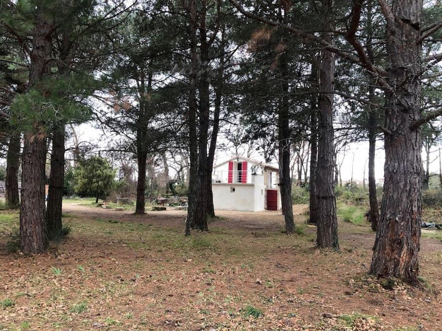 Le Cabanon De Vally Caromb Ngoại thất bức ảnh